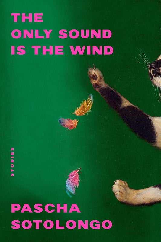 The Only Sound is the Wind: Stories