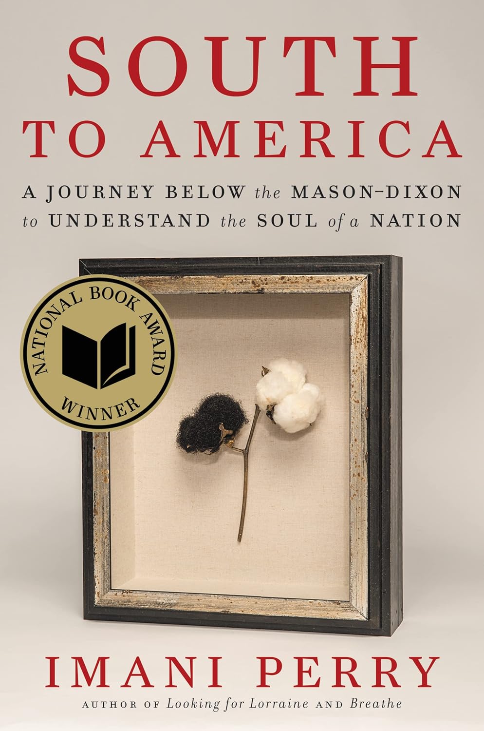 South to America: A Journey Below the Mason-Dixon to Understand the Soul of a Nation - Paperback