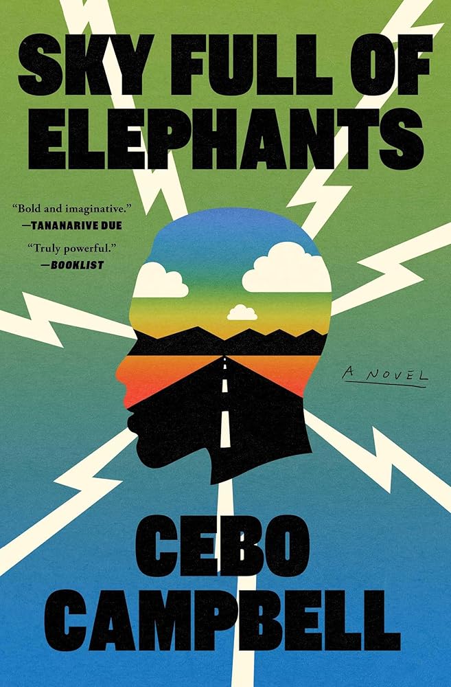 Sky Full of Elephants: A Novel cover image