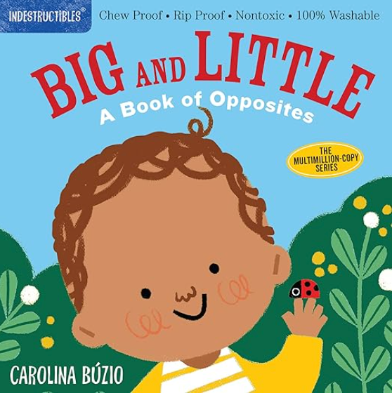 Indestructibles: Big and Little A Book of Opposites