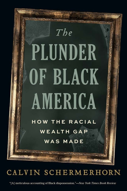 The Plunder of Black America: How the Racial Wealth Gap Was Made - Ingram