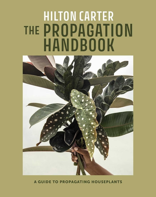 The Propagation Handbook: A Guide to Propagating Houseplants - Ingram