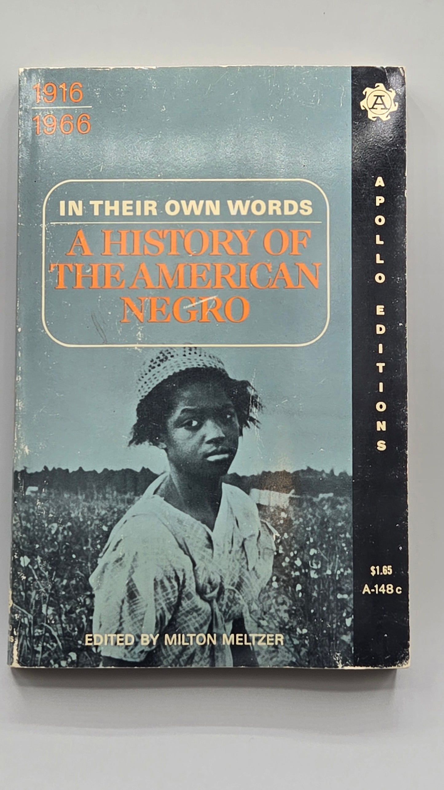 In Their Own Words: A History of the American Negro 1916-1966