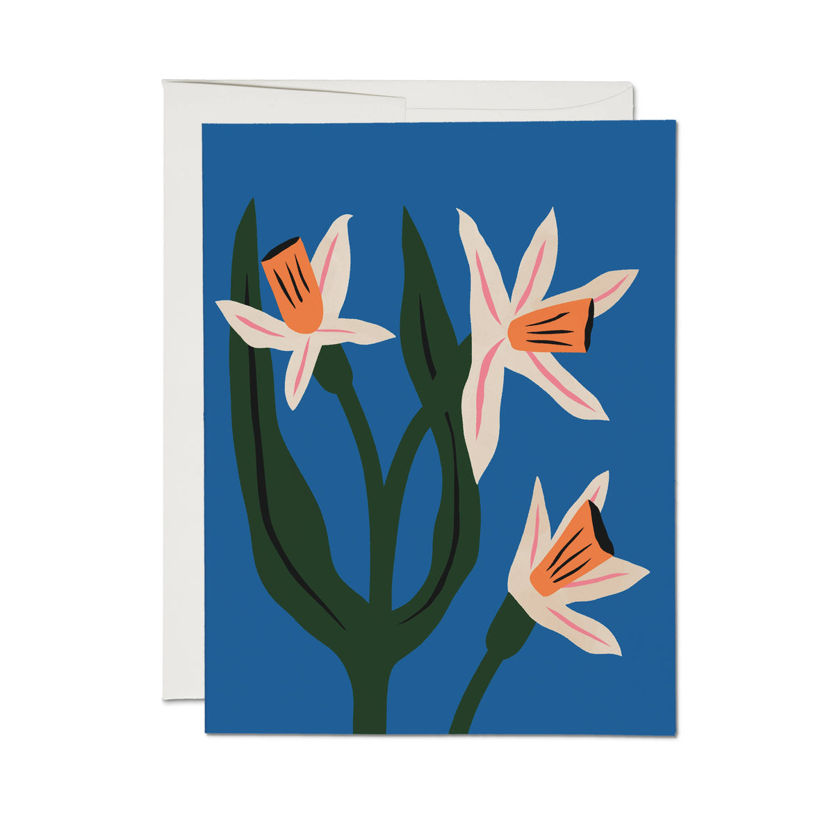 Blue Daffodils greeting card: Single