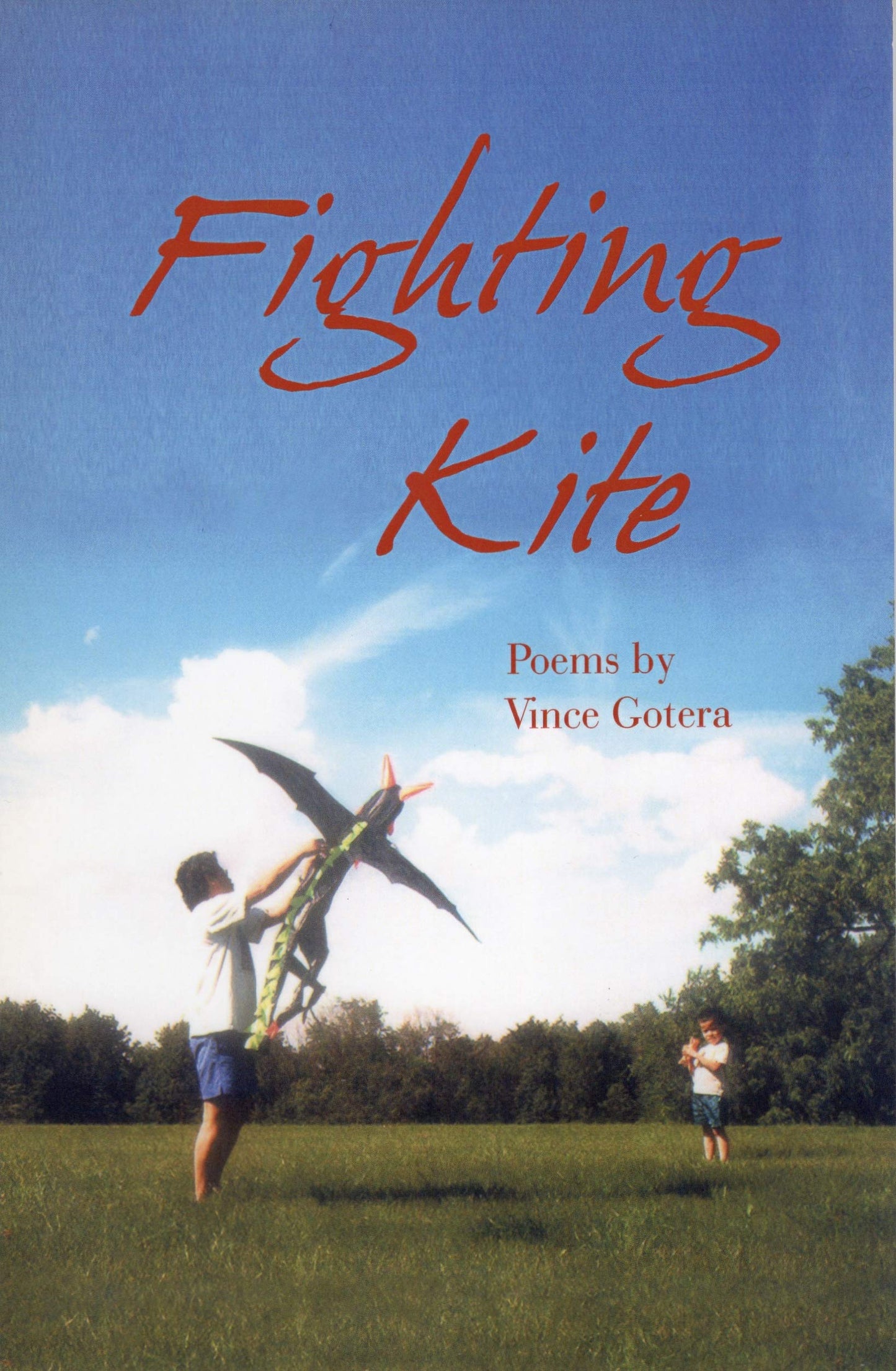 Fighting Kite ***