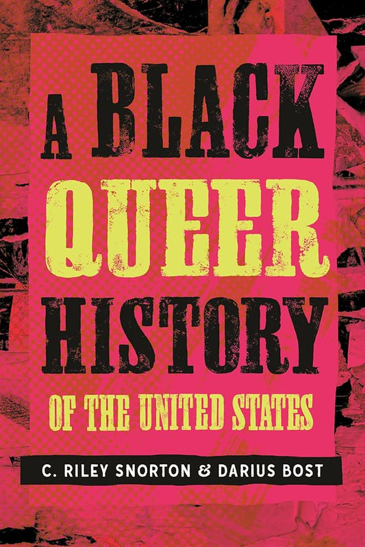 A Black Queer History of the United States (ReVisioning History) cover image