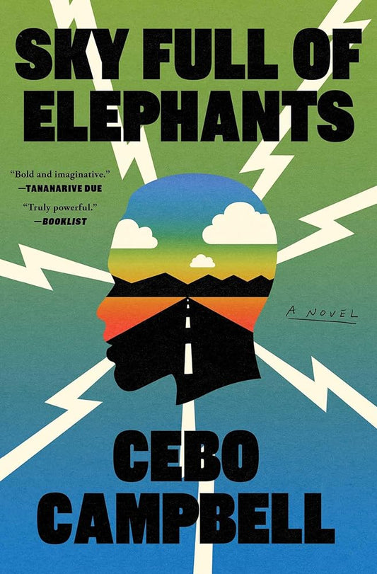 Sky Full of Elephants: A Novel cover image