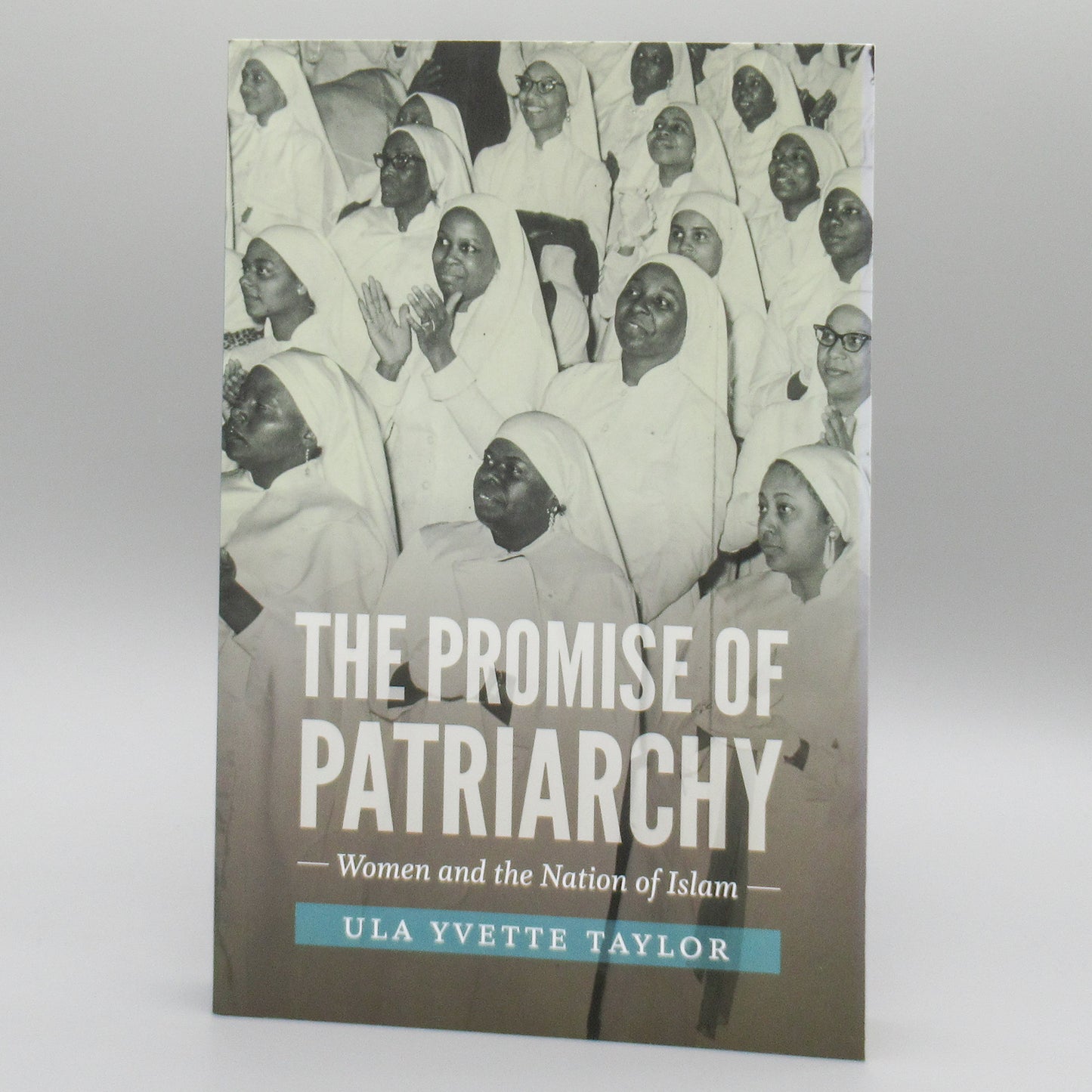 The Promise of Patriarchy: Women and the Nation of Islam