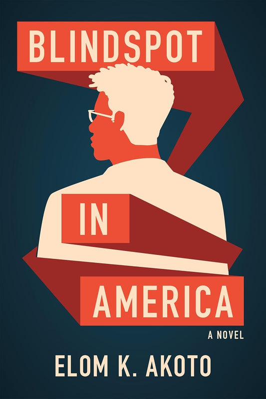 Blindspot in America: A Novel