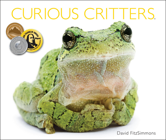 Curious Critters