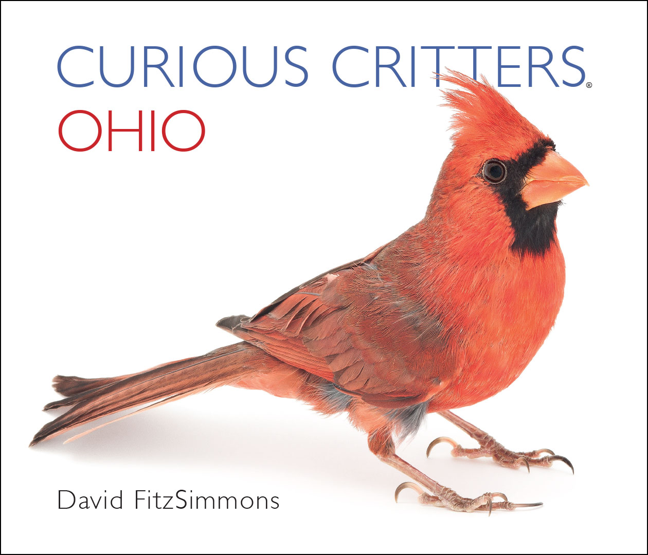 Curious Critters: Ohio