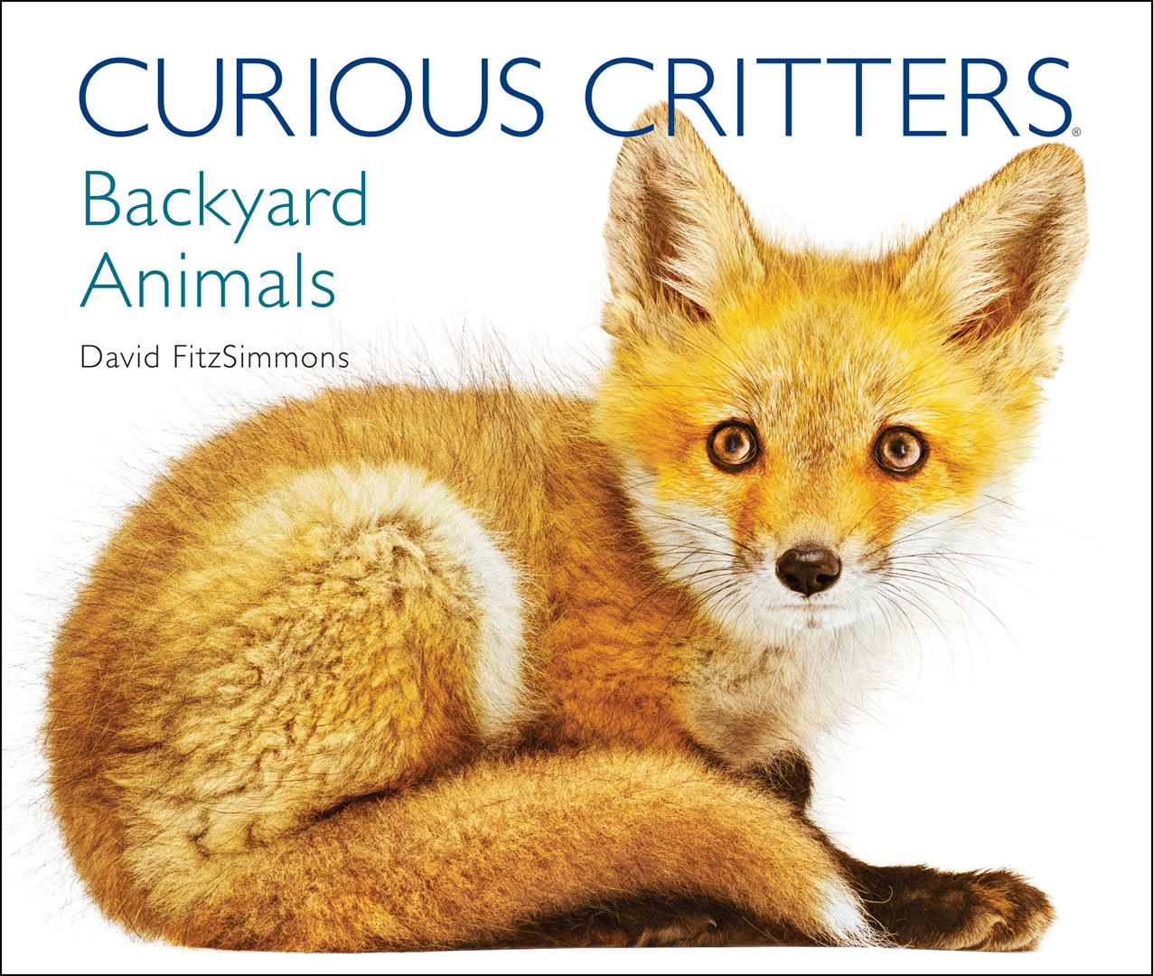 Curious Critters: Backyard Animals