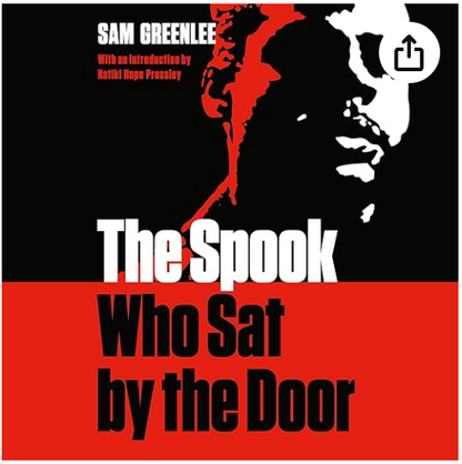The Spook Who Sat by the Door (African American Life)