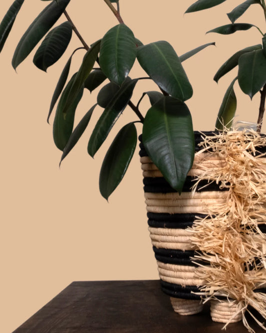 Black Striped Fringed Raffia Planter