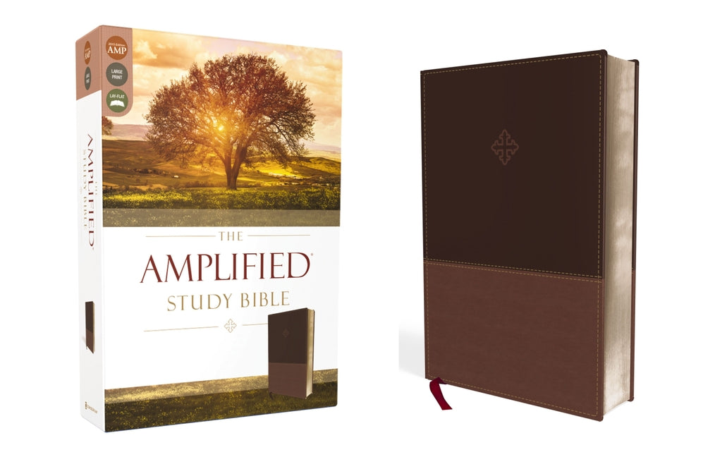 Amplified Study Bible, Imitation Leather, Brown - Ingram