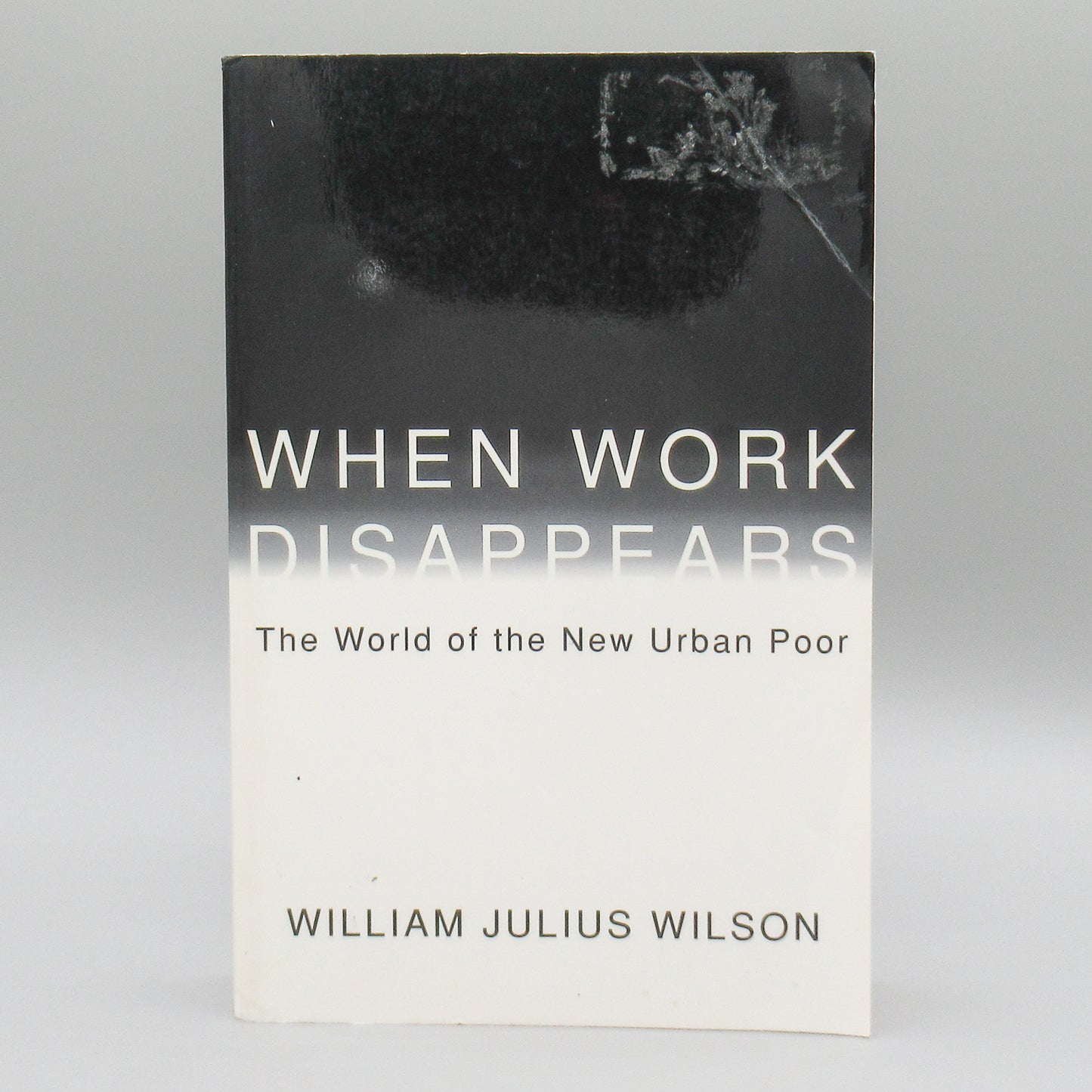 When Work Disappears : The World of the New Urban Poor