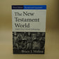 The New Testament World: Insights from Cultural Anthropology ***