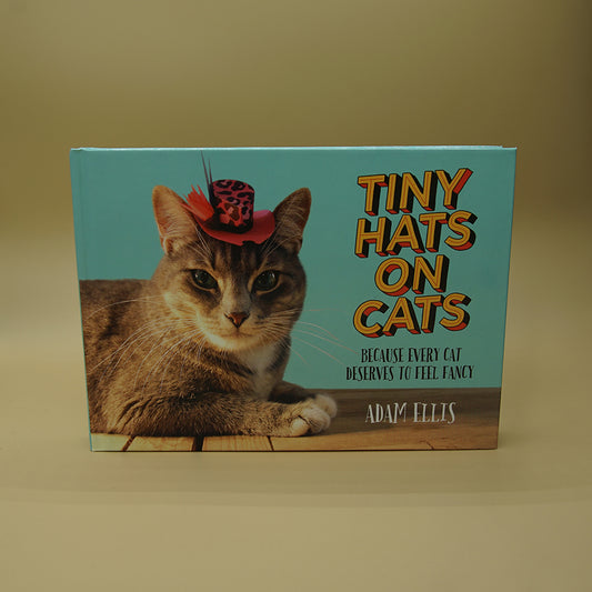 Tiny Hats on Cats: Because Every Cat Deserves to Feel Fancy