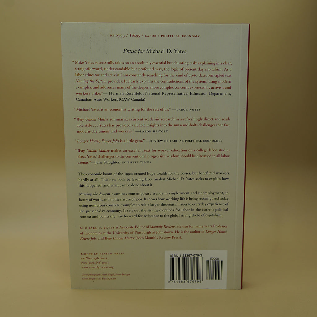 Naming the System: Inequality and Work in the Global Economy ***