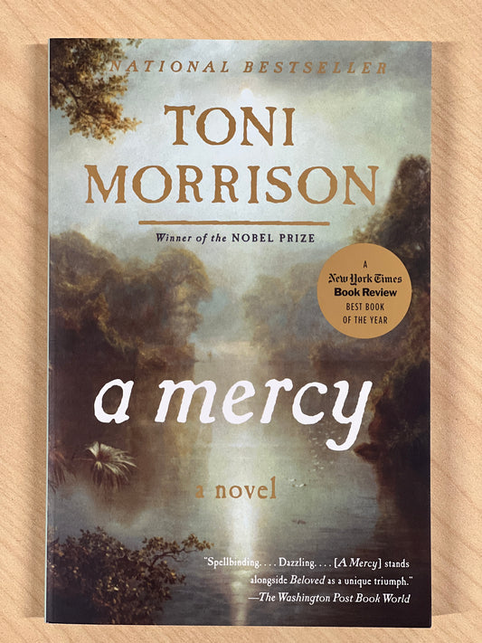 A Mercy - Paperback